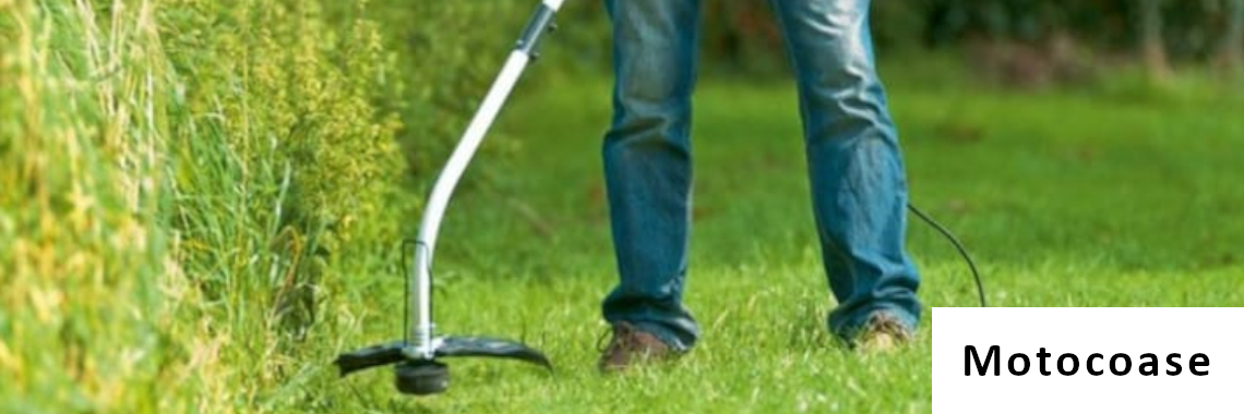 Motocoase