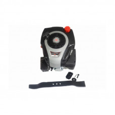 Motor cu ax vertical 6HP 173cc